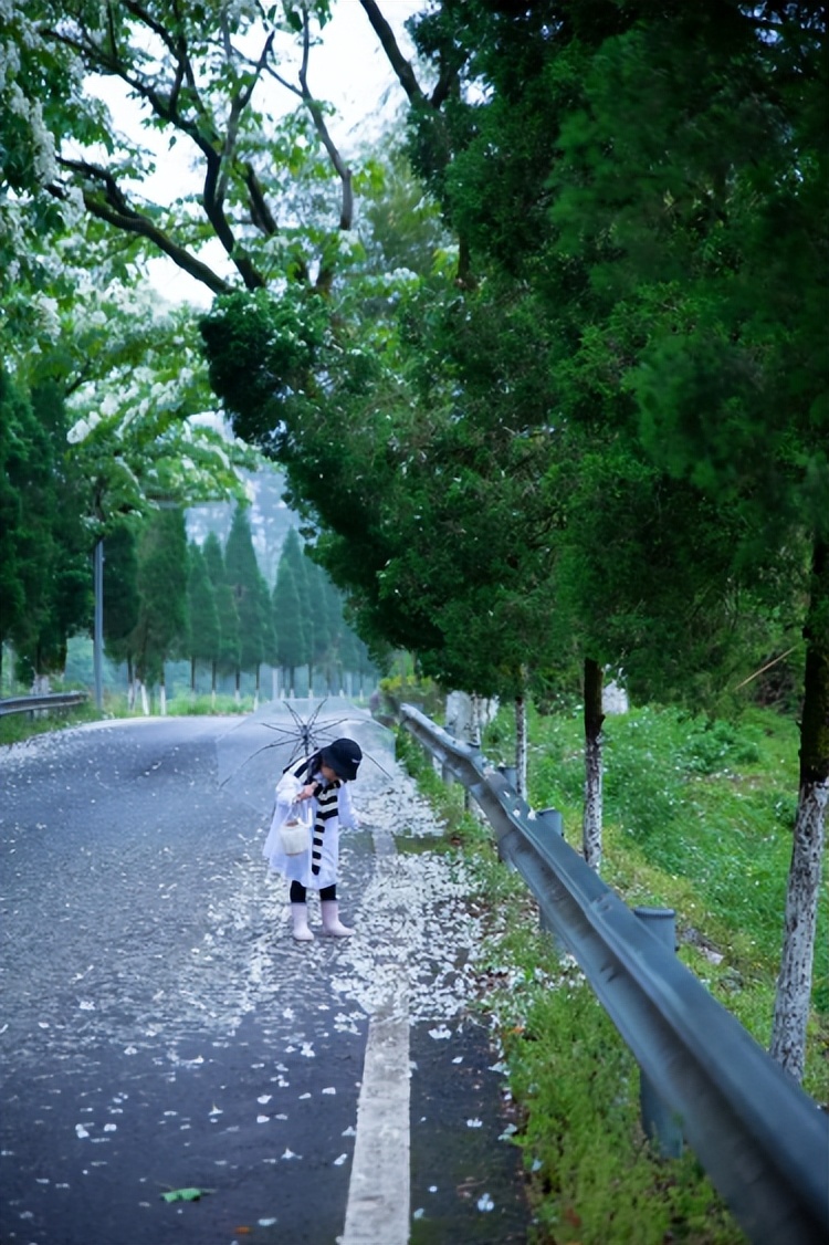 温州秋天的景,温州的秋天