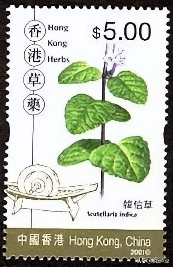 2024年香港邮票发行,香港邮票回归价格表