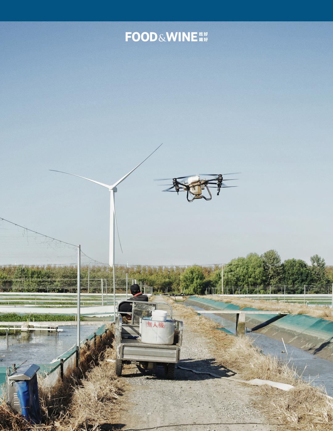 固城湖还是高邮湖螃蟹好,高邮湖螃蟹几月份有