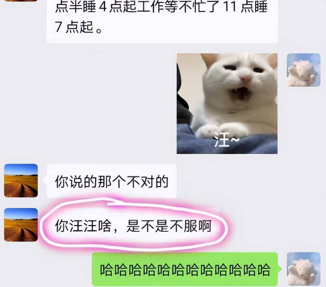 “你是不是不服？”，大学生与父母聊天，却因一个表情遭无情回怼