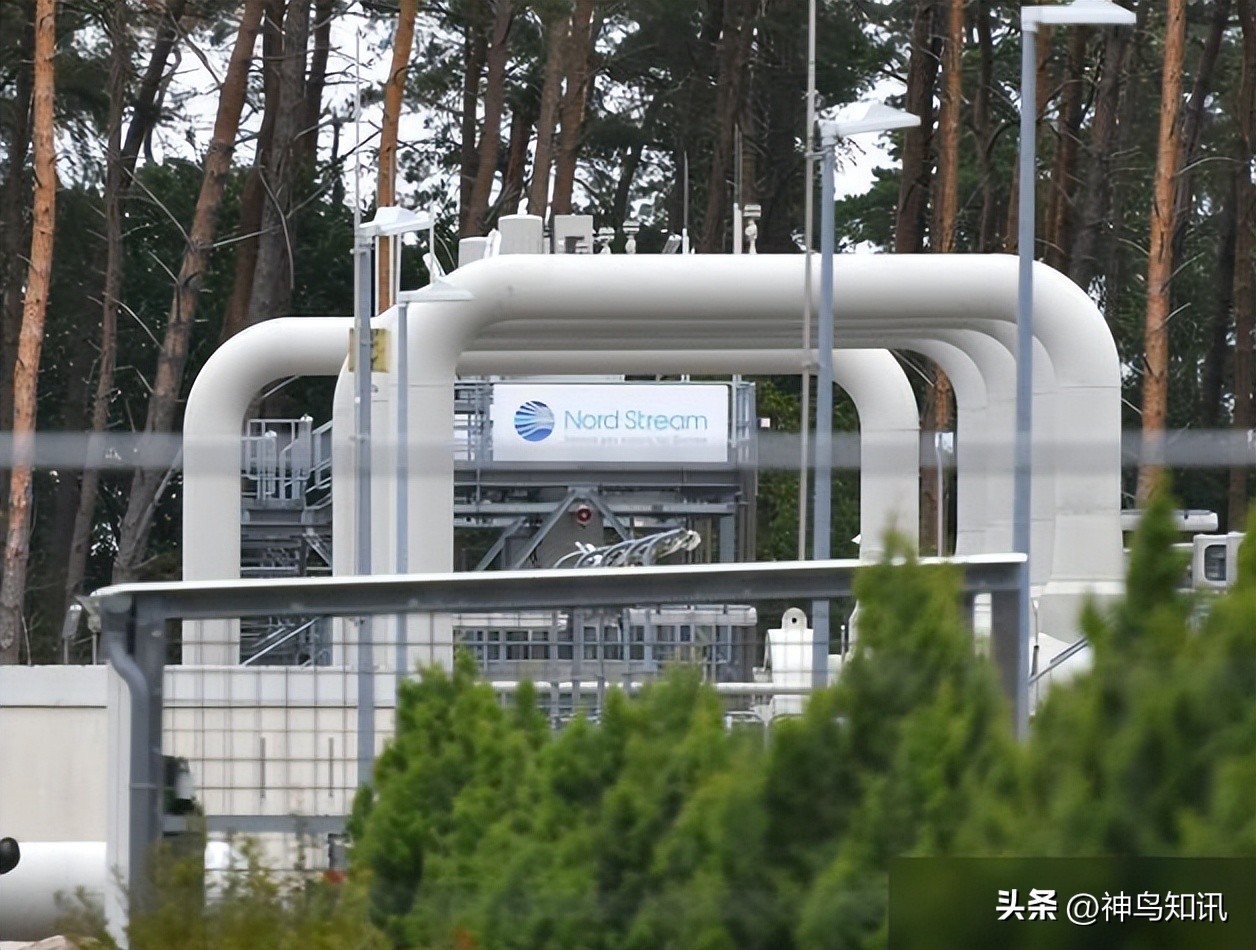 神鸟国际观察丨劈柴取暖成首选！欧盟各国能否度过“最冷最贵”的冬天？