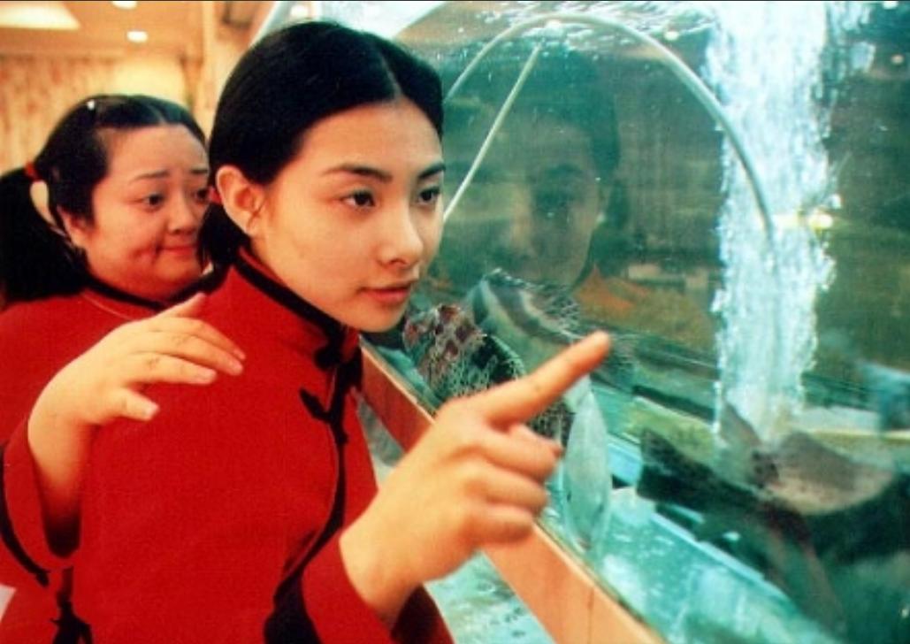 体操皇后刘璇完整版,体操女王刘璇嫁给谁