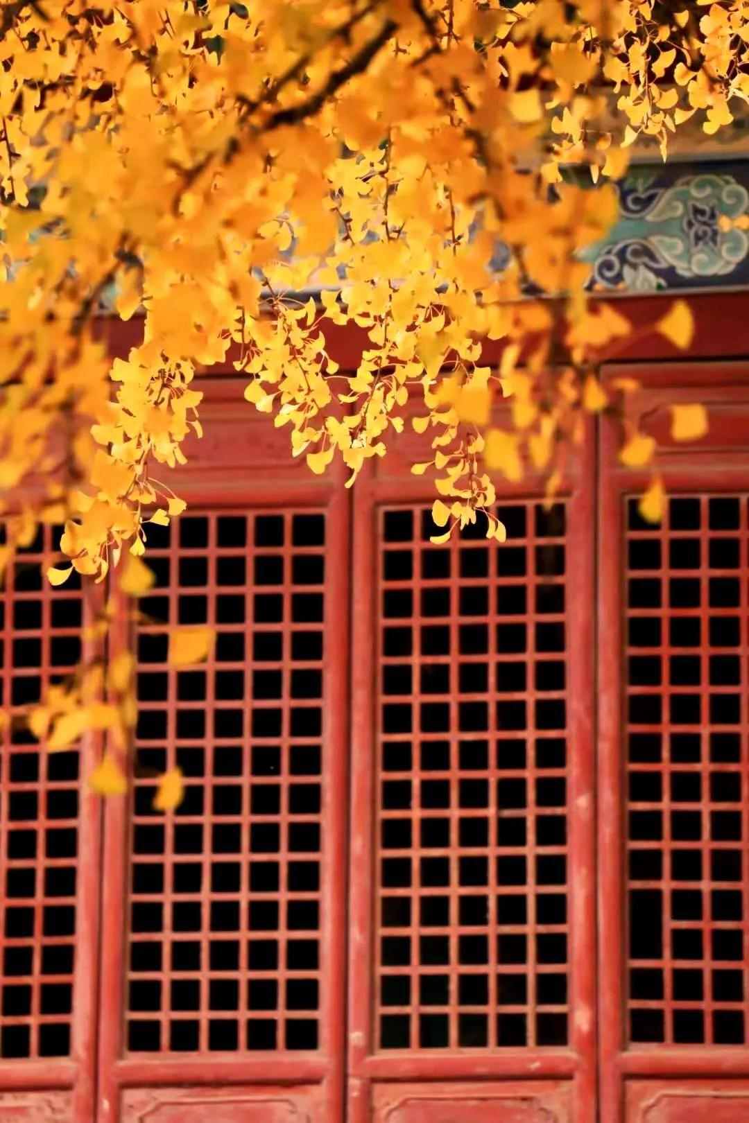 天地之中少林寺,中岳嵩山两个山哪个更好