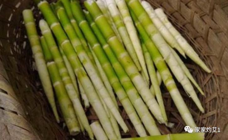 春季艾灸养肝护脾胃的方法,春天艾灸疏肝健脾祛湿