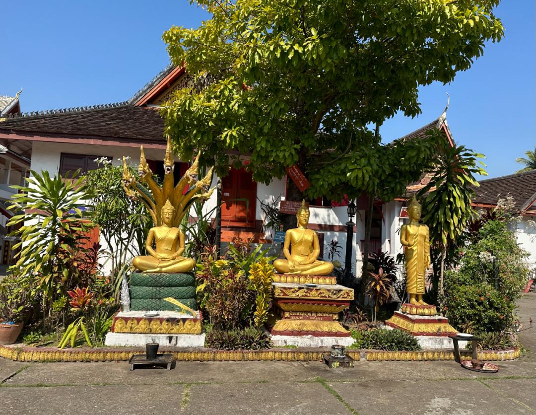 坐中老铁路去老挝要办什么手续,最新坐高铁去老挝流程