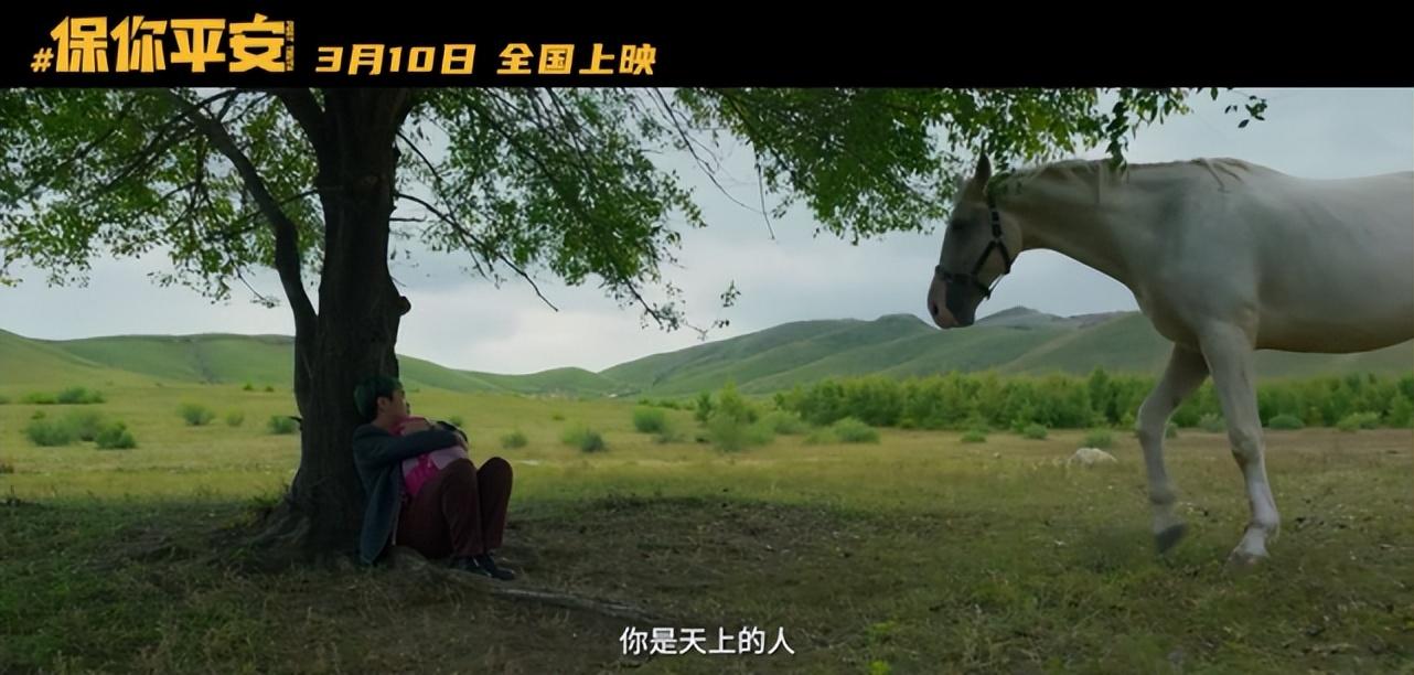 大鹏被打脸是哪个电影,大鹏新电影反映网暴