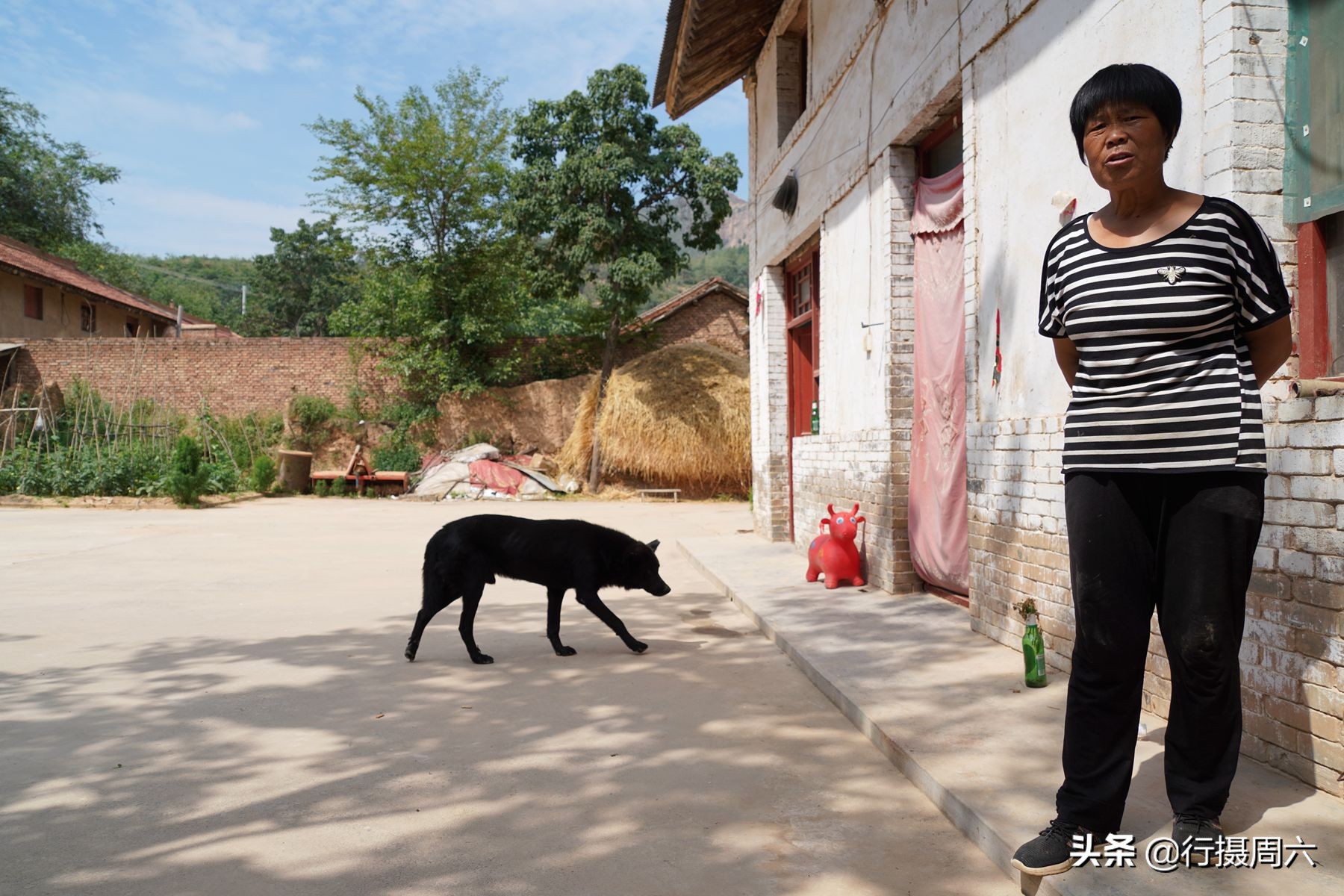 农村大姐养宠物犬,农村大姐养土狗视频