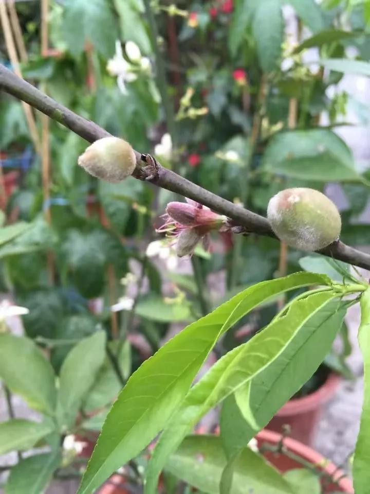 如何花最少的钱改造出租屋,怎样花最少的钱布置出租房