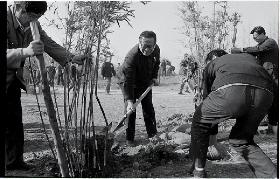 江*民泽**同志在上海