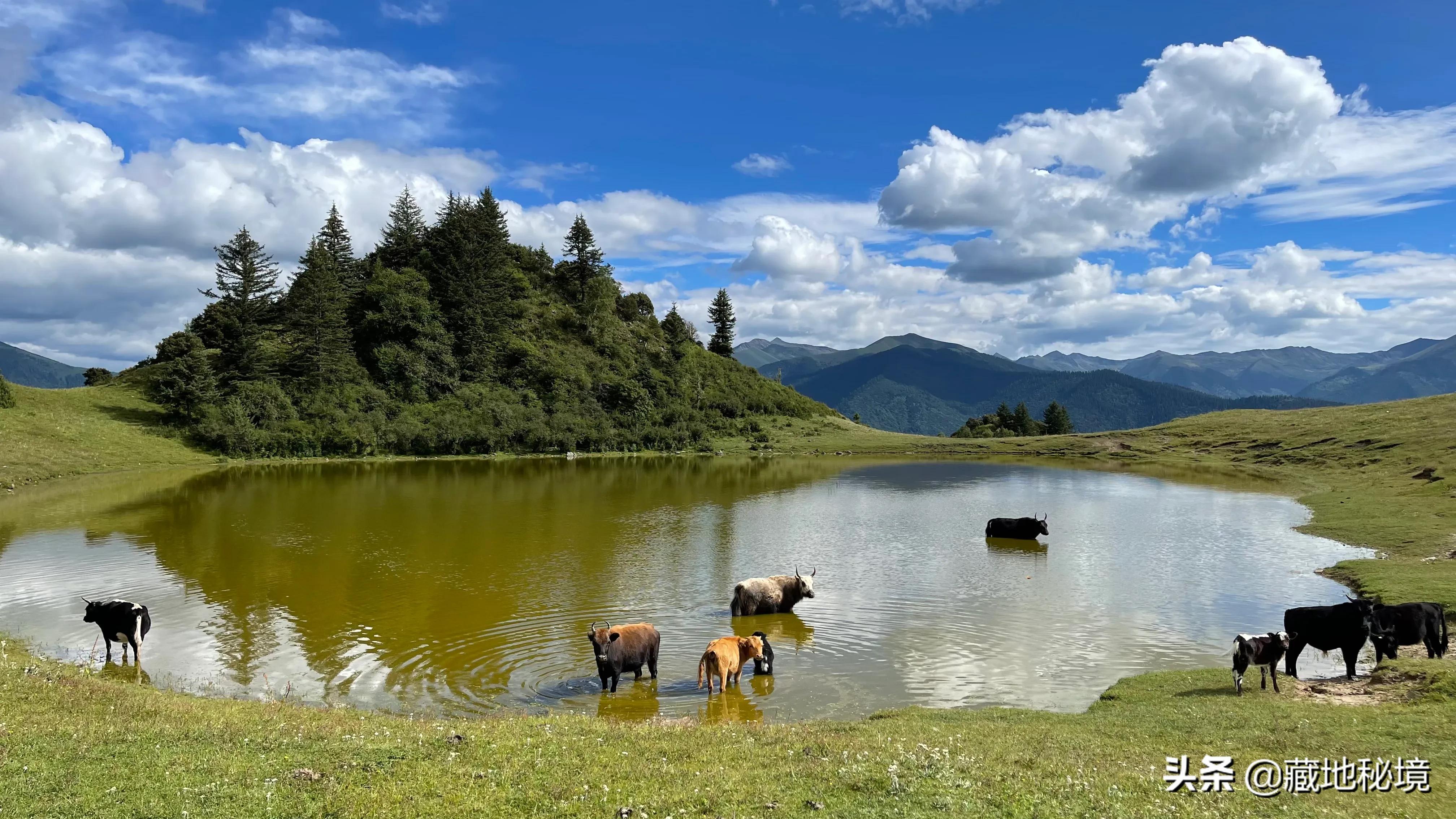 小说失踪假日,小说连载失踪的女人