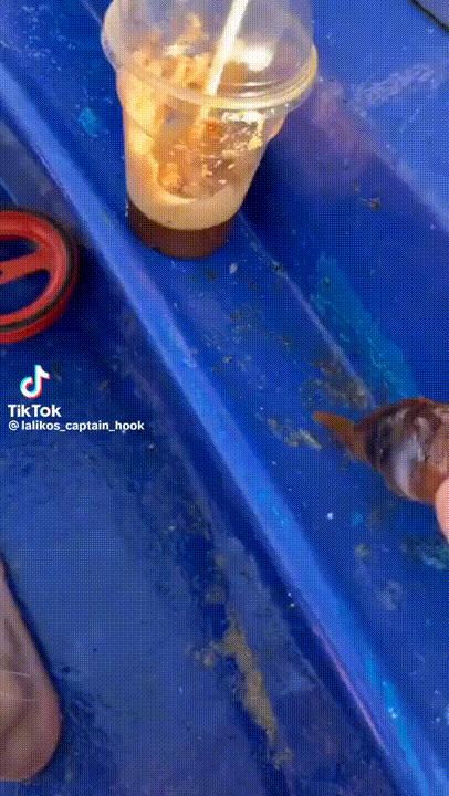 海底奇观欣赏,海底世界奇妙之旅图片