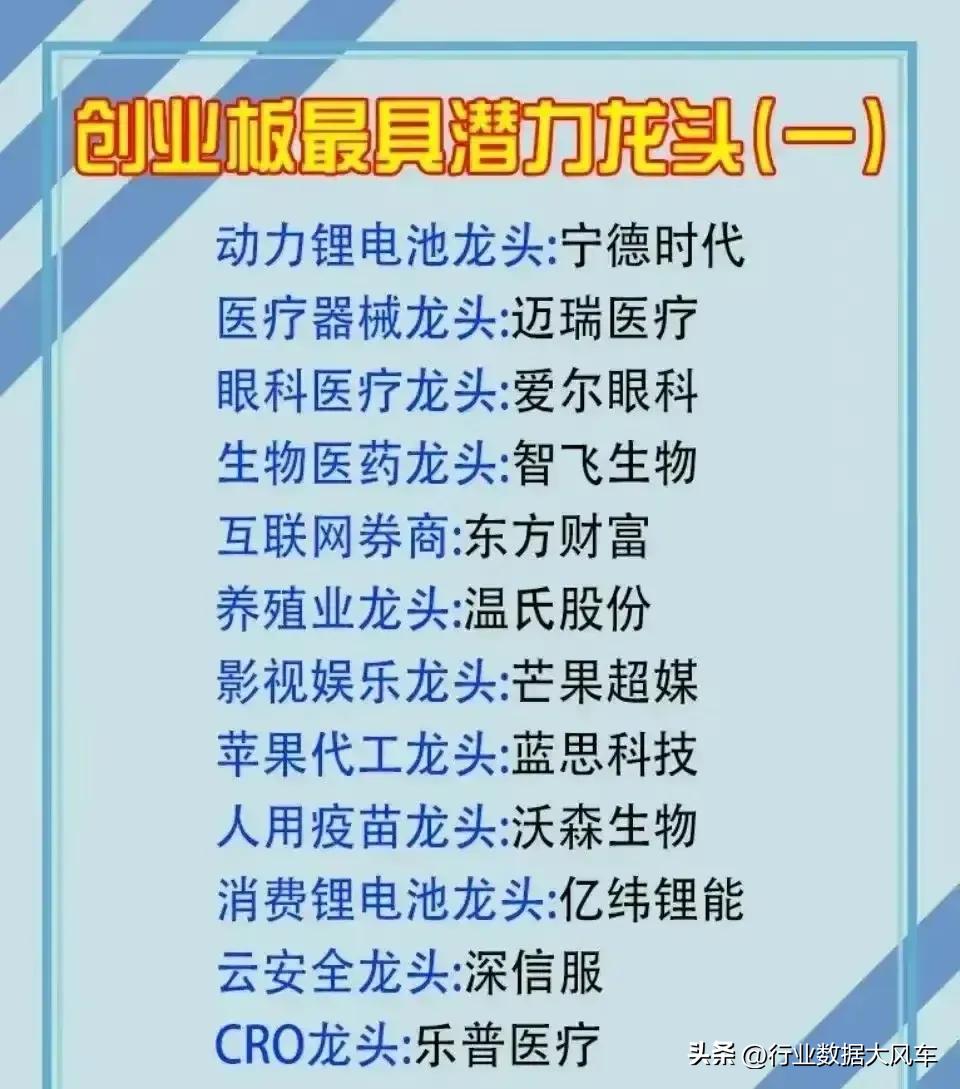 创业板细分龙头股一览表,值得关注的行业龙头