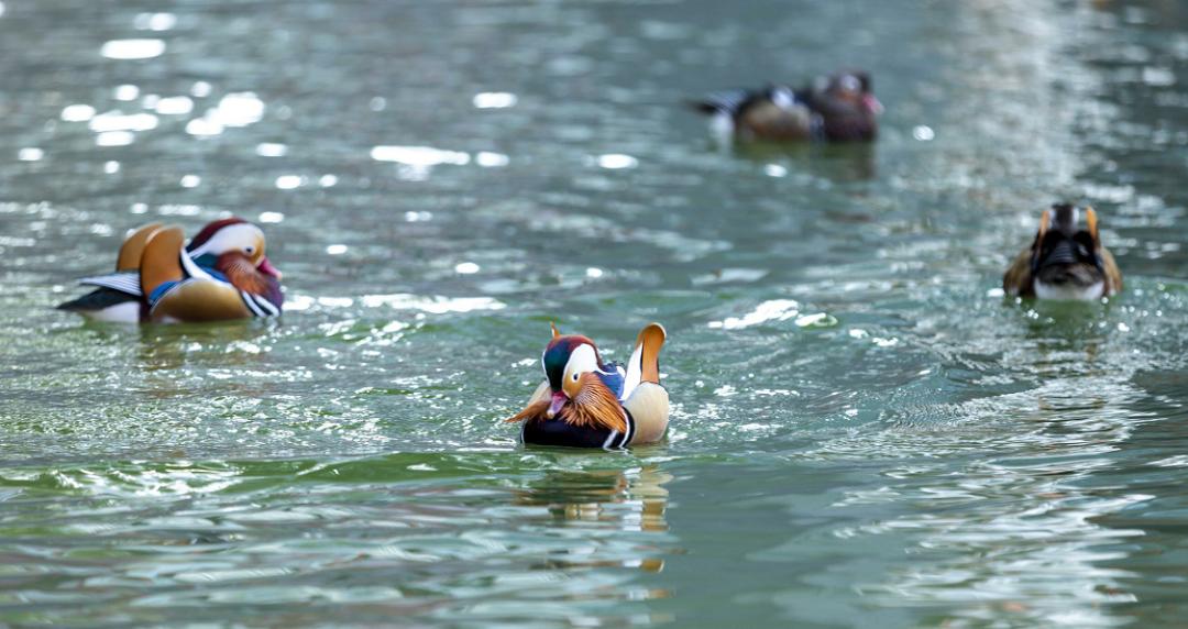 骑行打卡景点,湿地骑行观风景