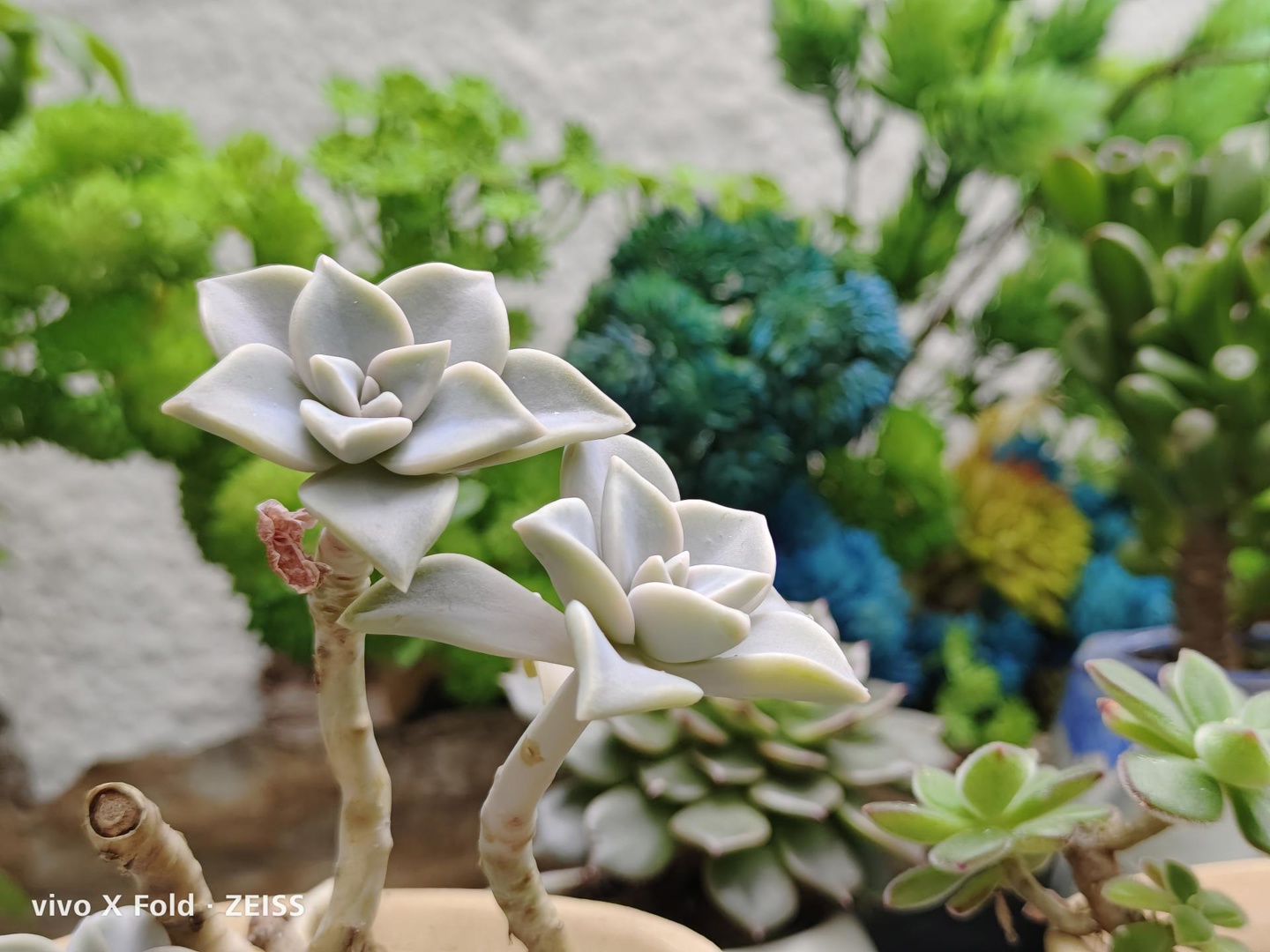 vivoxfold折叠屏评测,vivoxfold对比华为matex2