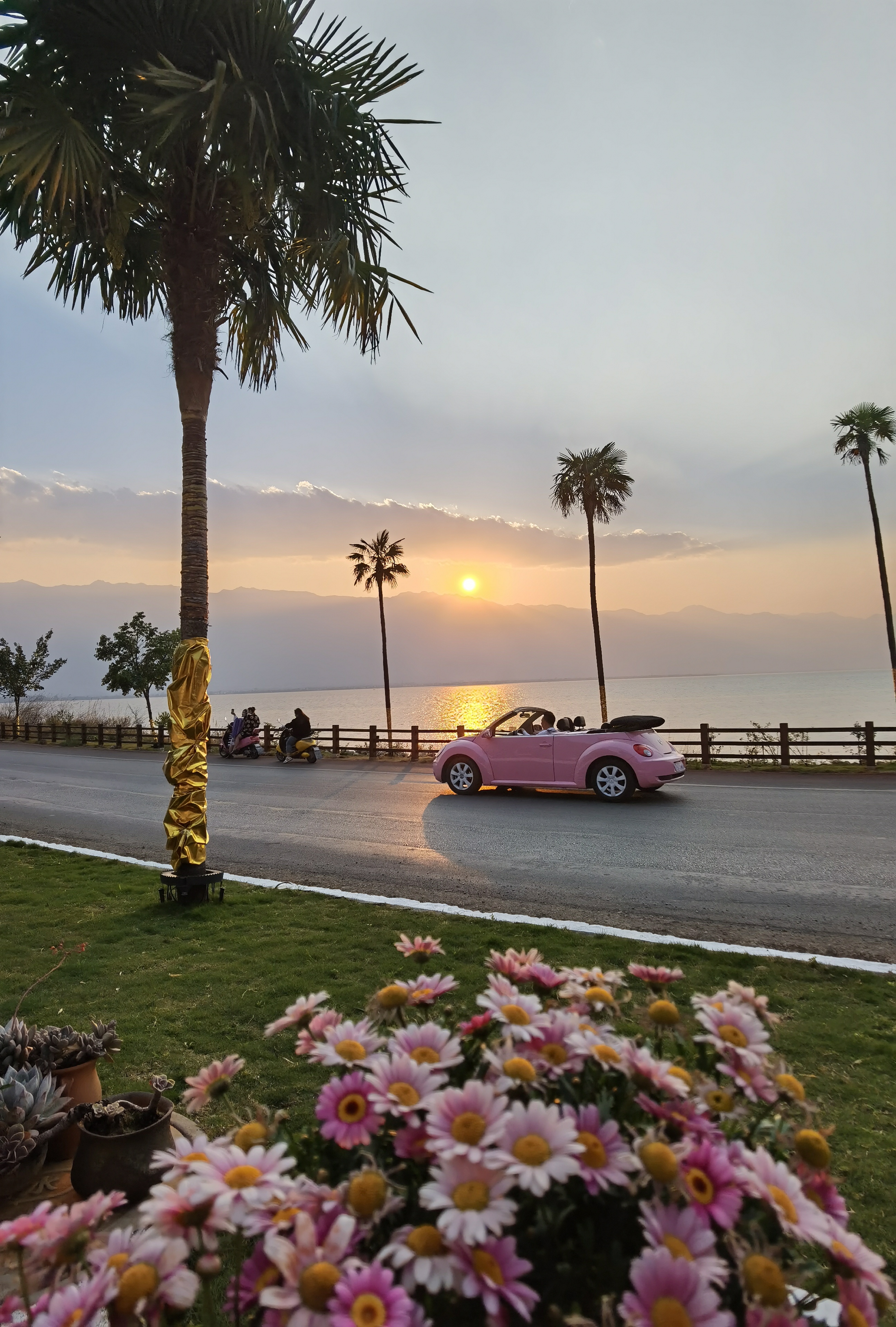 去有风的地方,去有风的地方插曲