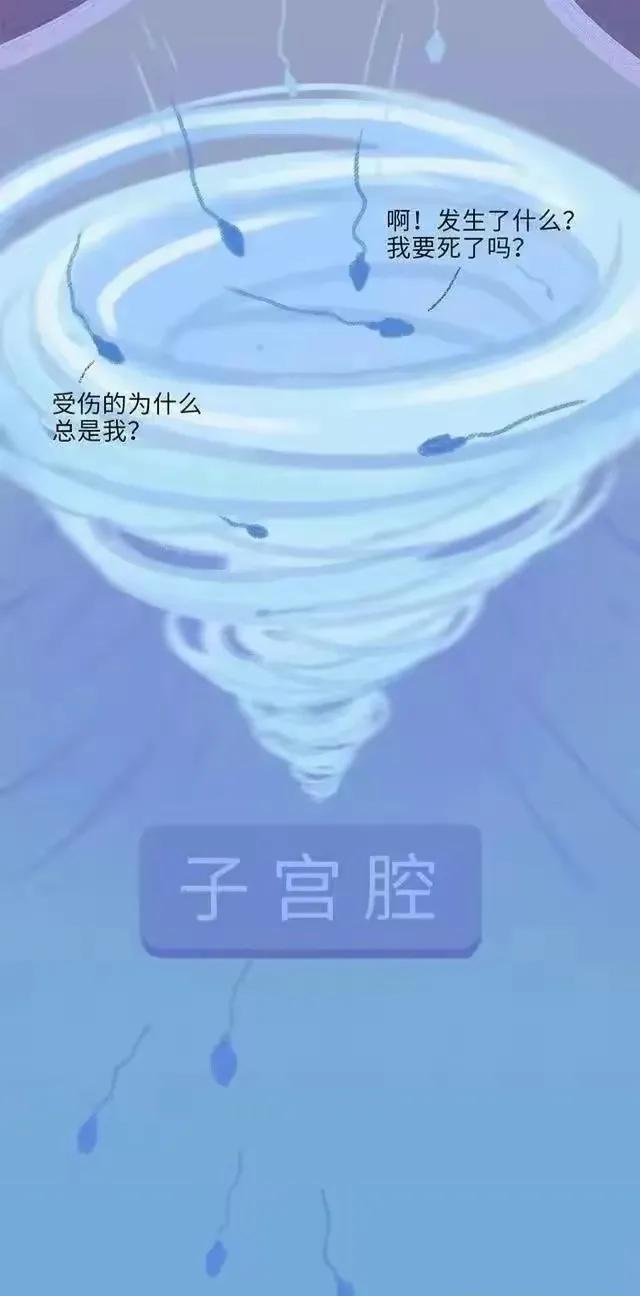 精子进入女性体内后，会发生什么神奇的事？漫画科普