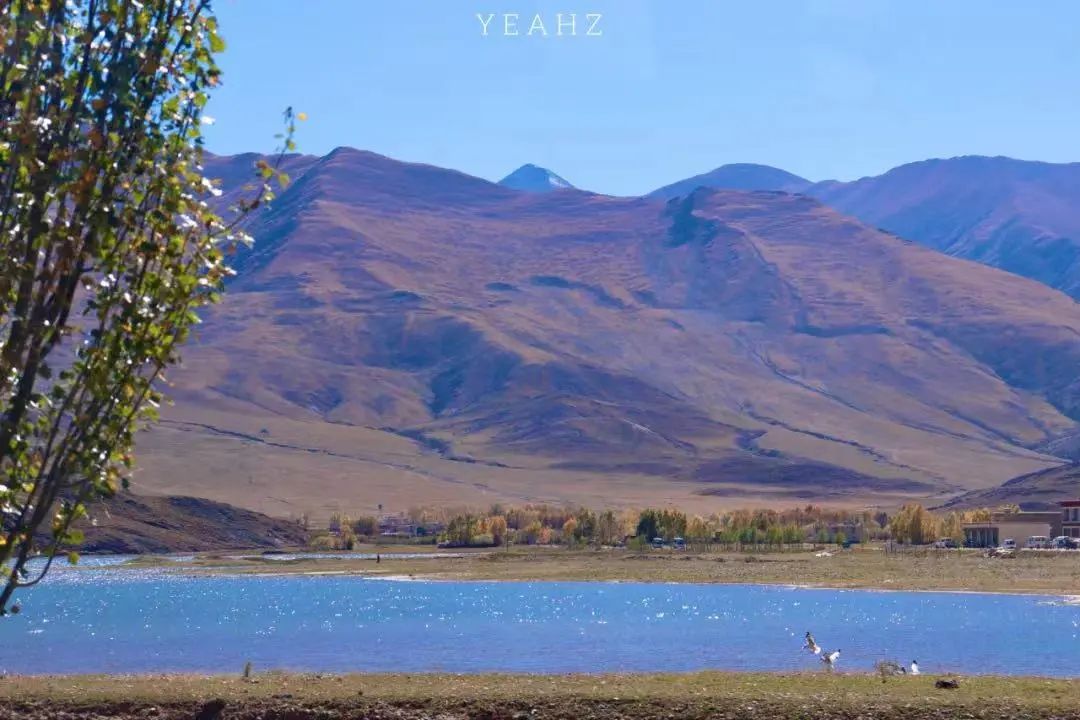 拉萨周边适合晚上去的地方,拉萨附近值得去的县城