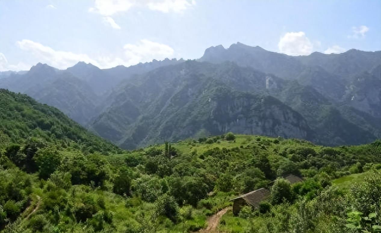 陕西眉县现一头“怪牛”该男子喂它很多次，网友看到：秦岭杀手王