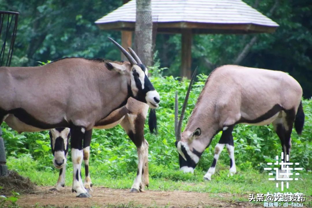 七天假期上哪玩儿,假期去哪儿玩这份攻略告诉你