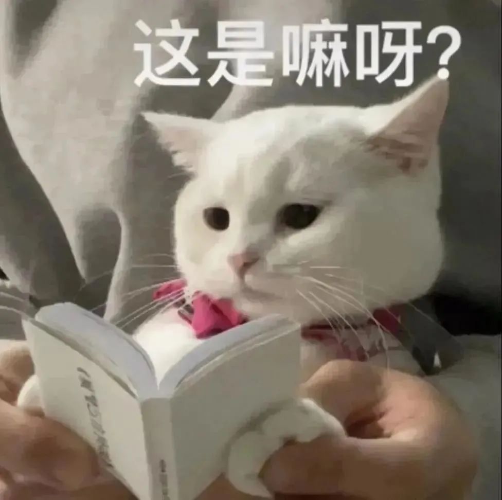 晋E26758、晋EVW688...实线变道曝光！