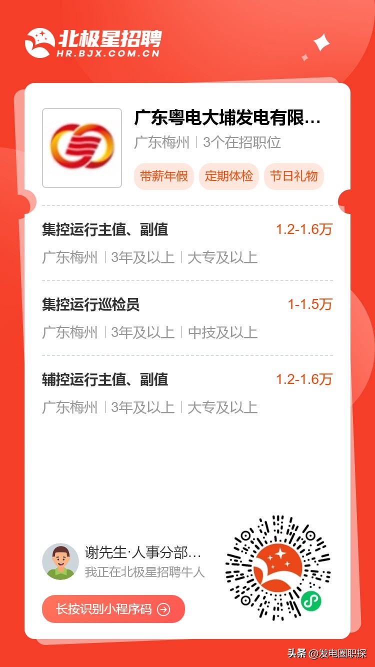 广东粤电大埔,粤电大埔