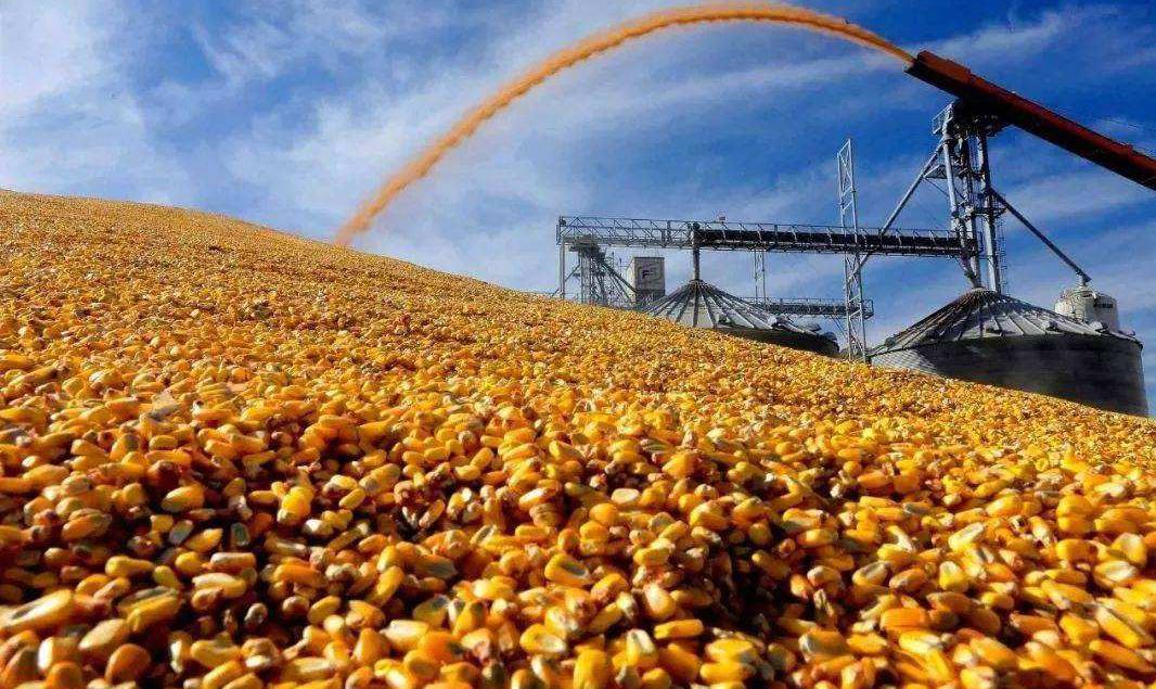 世界四大粮商之一：路易达孚进入中国50年，靠卖大豆每年“躺赚”