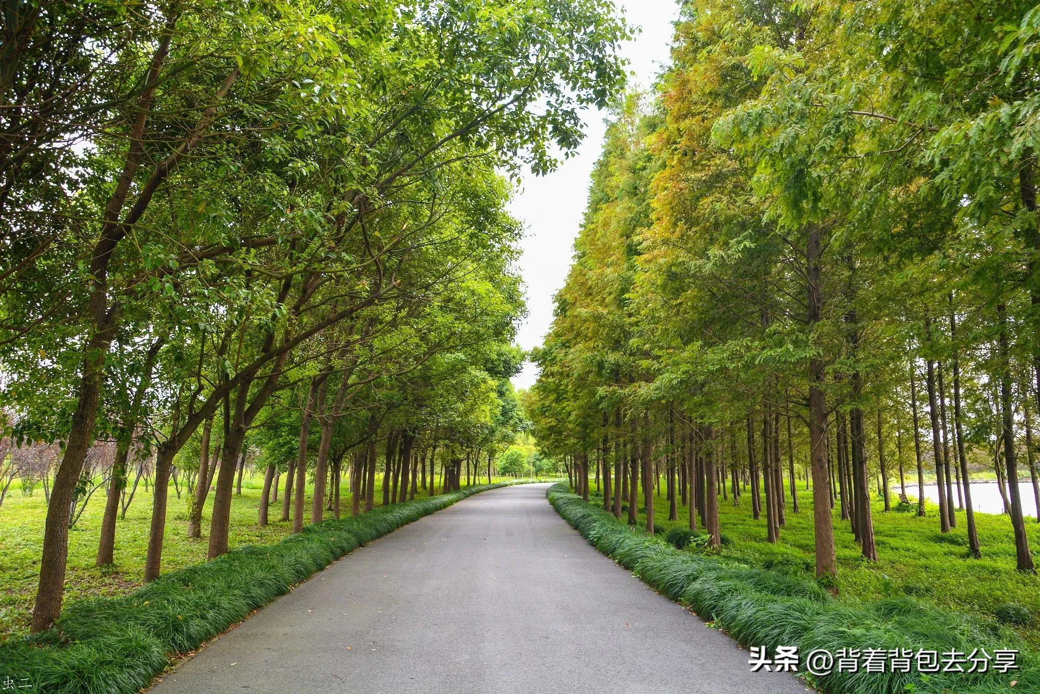 上海古镇免费景区,上海免费开放景区