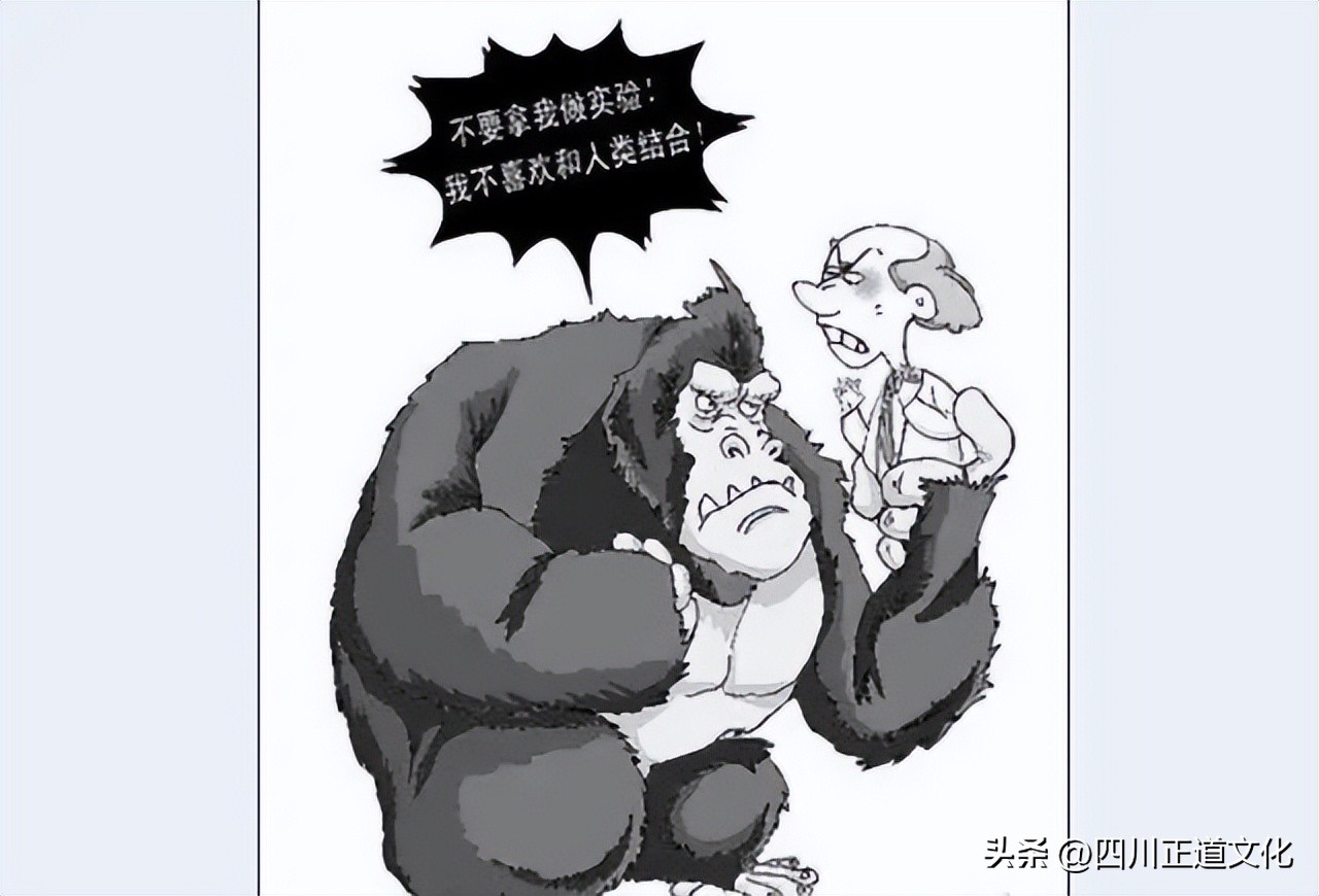 苏联人猿实验出来的毛孩,苏联人猿实验最后的女性都怎么了