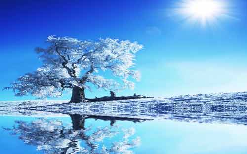 寻人不遇的经典诗句,寻隐者不遇经典诗句