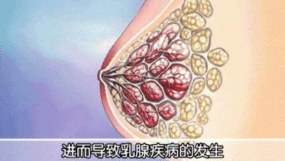 杨幂土味衣服,杨幂野性穿搭