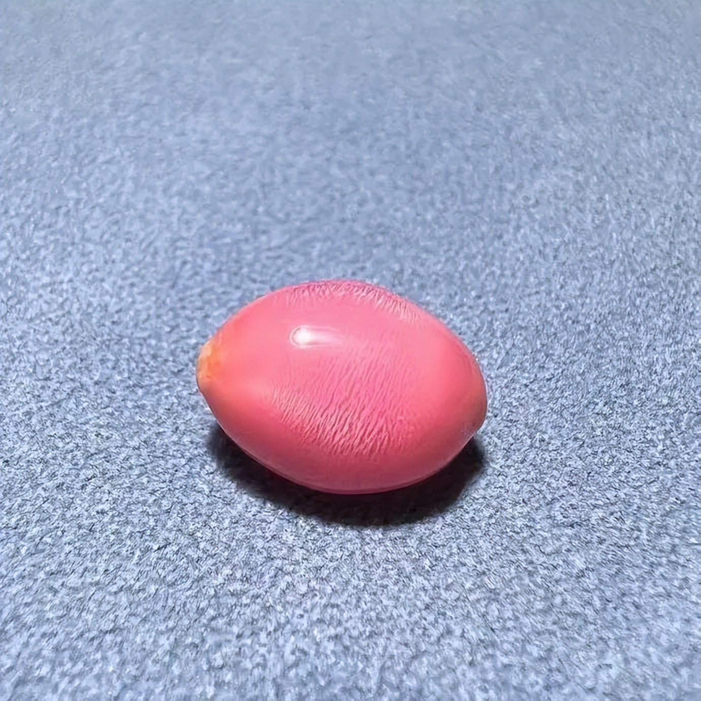 珍珠大家族“人才辈出”!哪一颗最适配你的春装Look?