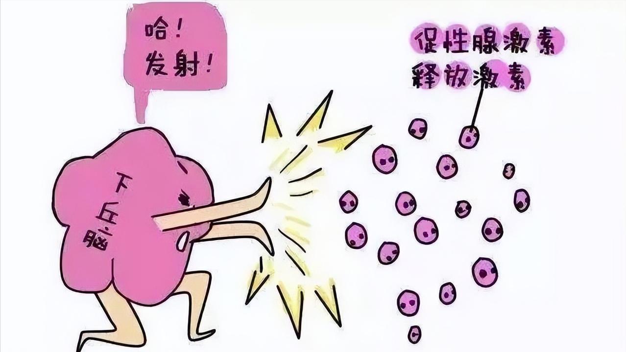 看到腺肌症,40岁女士顿悟了,终于明白自己为何例假痛得直打滚了