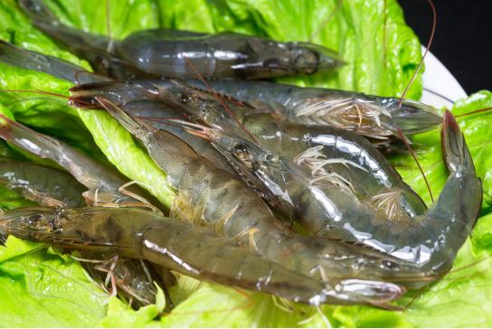 挑选虾时一定要买弯曲的虾,怎么挑选好虾遇到这种虾千万别买