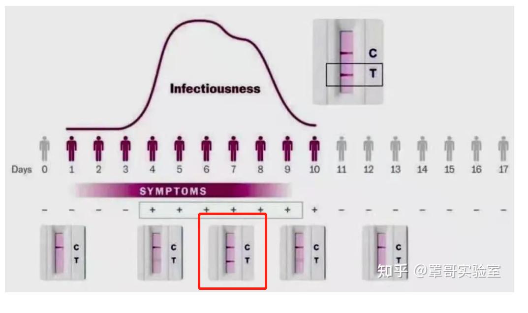 4月18日我最终还是进入了方舱