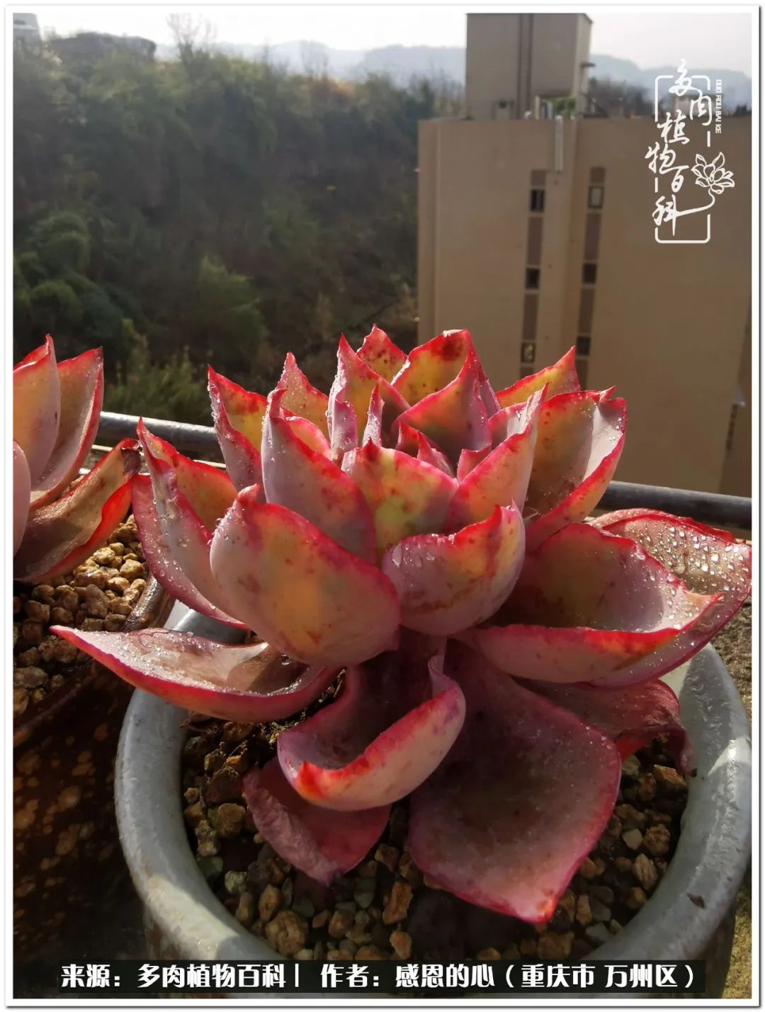 那些不经意却很惊艳的瞬间,不经意间惊艳了时光