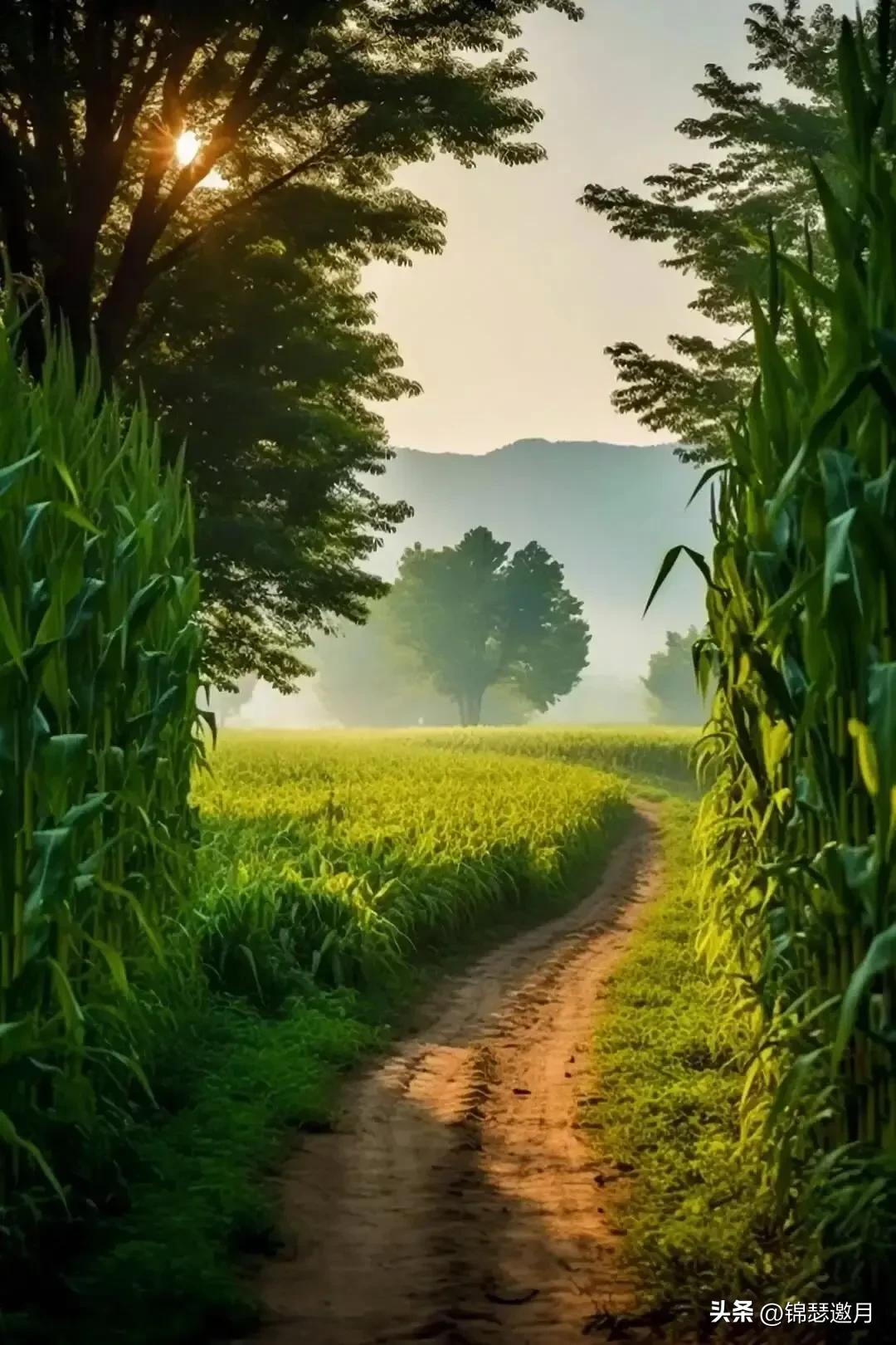 乡村田园风光图片,田园风光风景图片