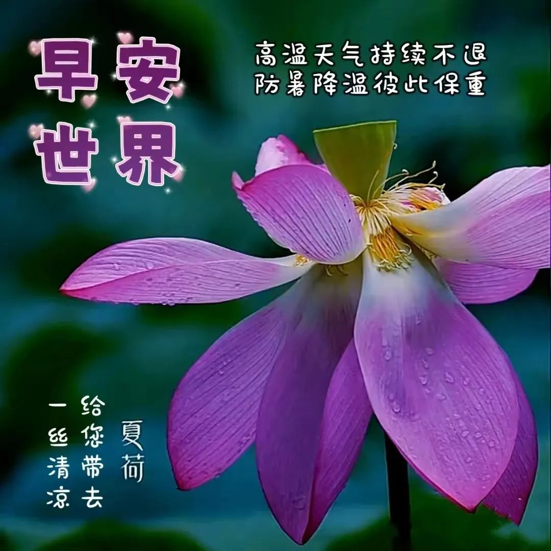 朋友关心问候语暖心感动的句子,问候祝福朋友开心快乐的温馨句子