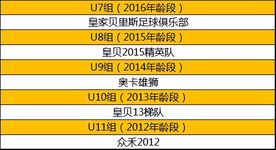 鲁能杯2024南方赛区,鲁能杯四川赛区