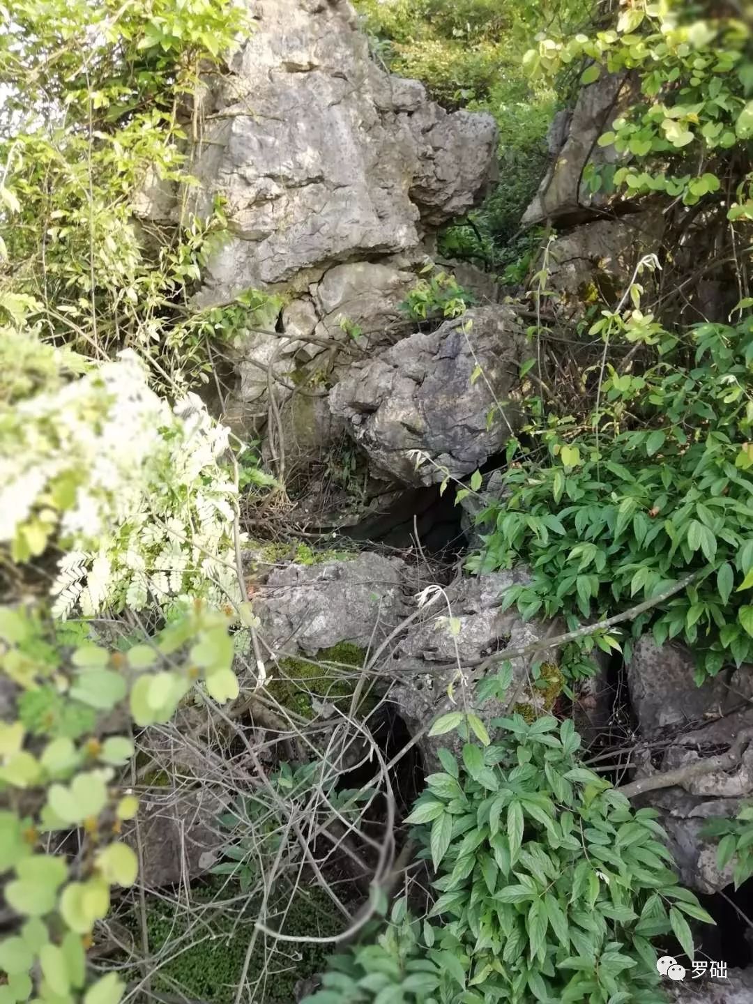 鐭虫湪灞卞,鐭虫湪瀵ㄥソ椋庡厜