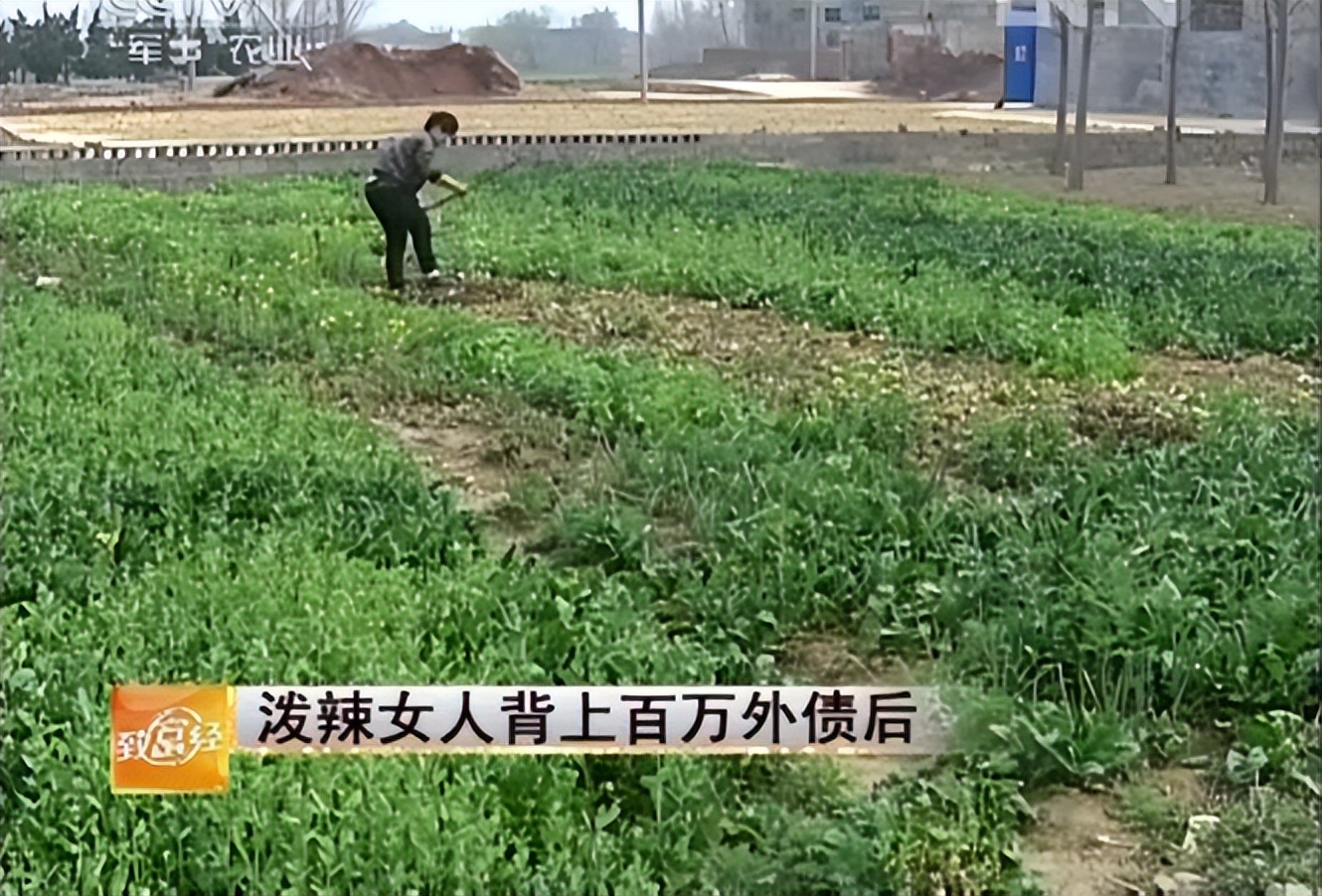 娌冲崡鍏荤尓澶у,娌冲崡澶у鍏荤尓