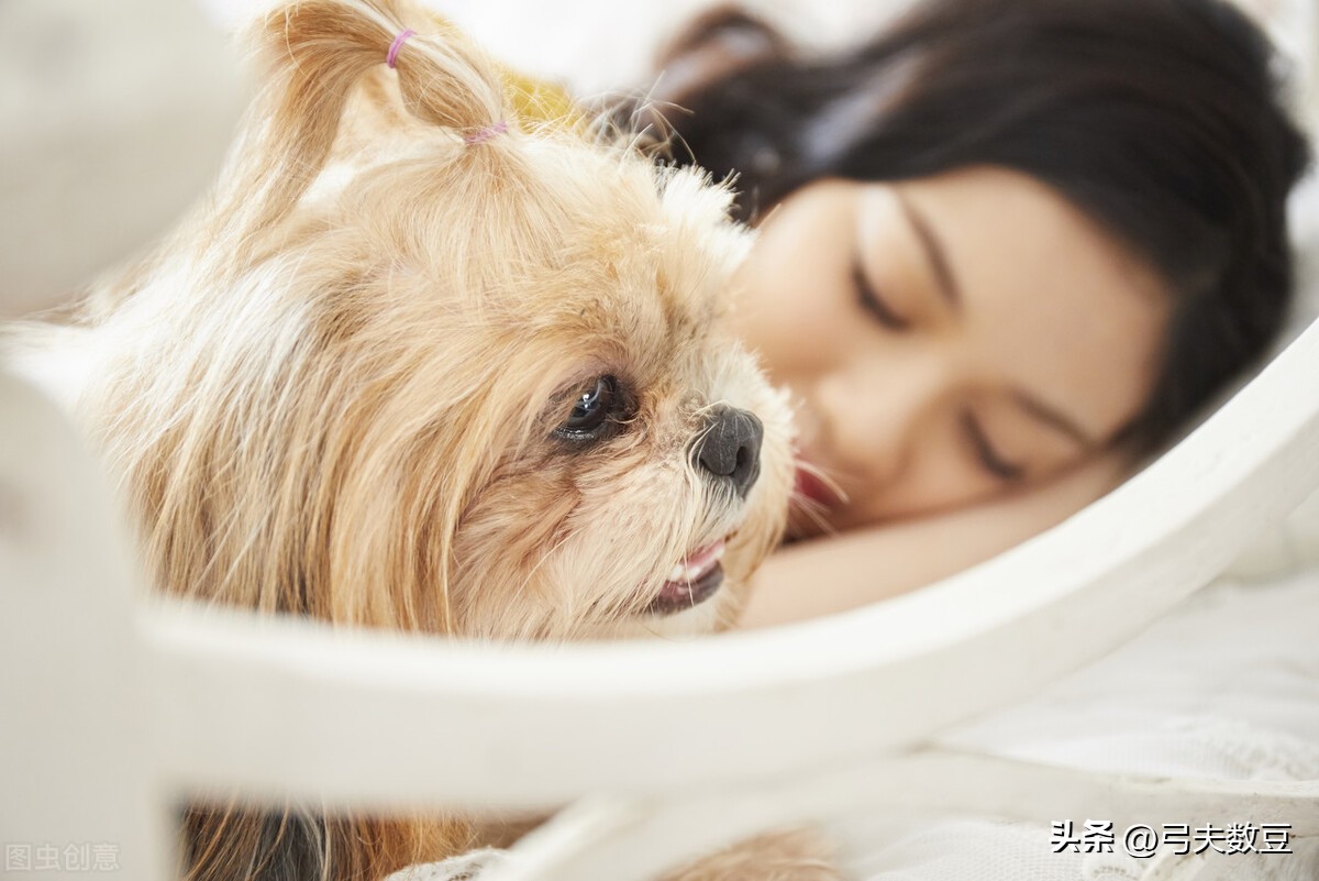 卖宠物零食赚钱吗,宠物食品代加工能赚钱吗