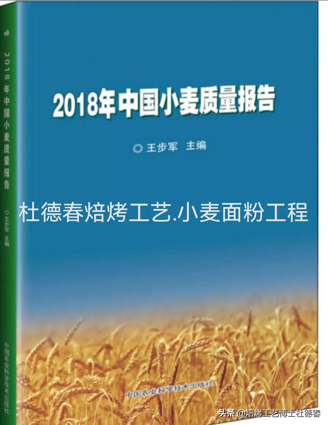 做面包饺子用什么面粉,做水饺馒头用什么面粉最好