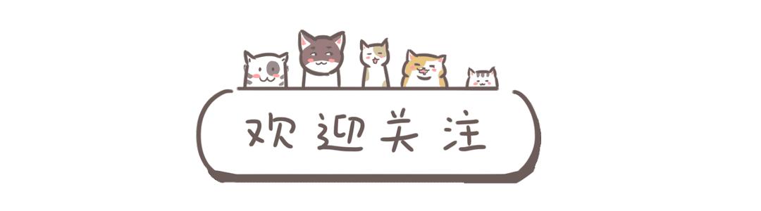 砧板发霉了用什么办法能洗掉,砧板发霉可以开水泡吗