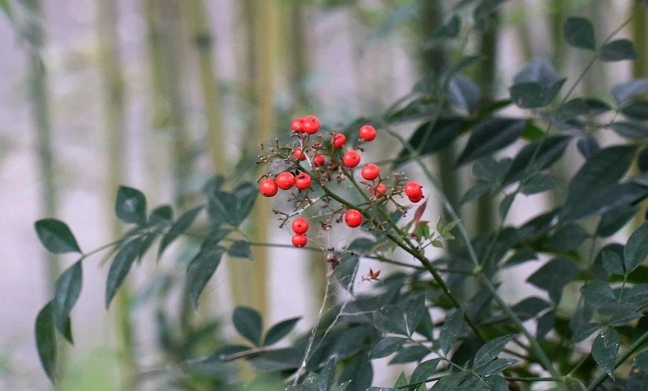 用佳能60d拍照片,新手用佳能600d教程