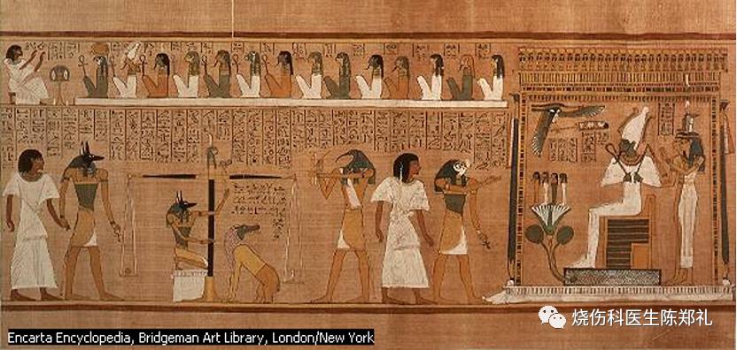 创面外用药物及敷料的使用策略及理论依据