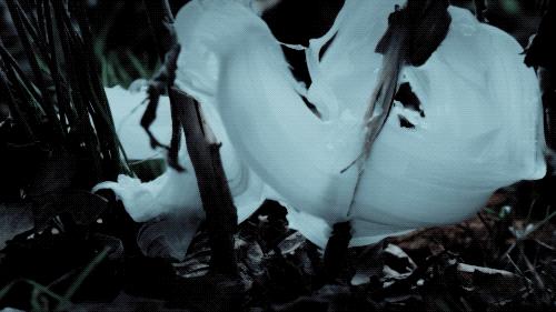 96岁还在奔波工作，这老爷子做出了今年9.8分神片