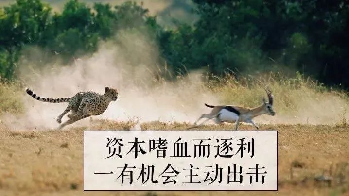 女性就业的困境，是来自男性吗？