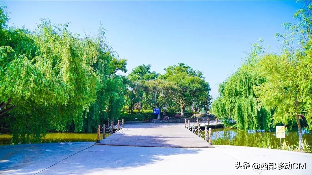 云南玉溪山水旅游景点推荐,澄江旅游攻略一日游最新