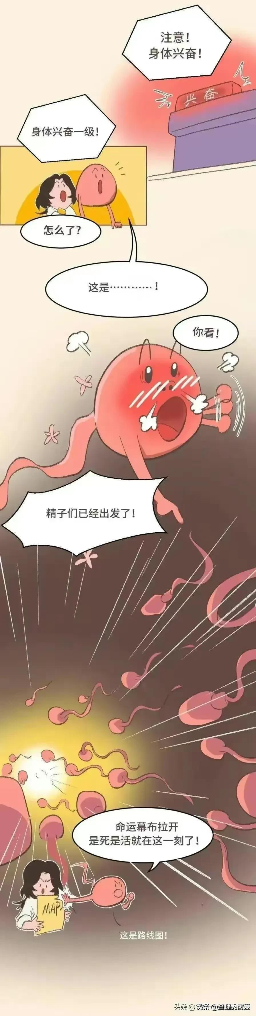 男女发生关系，最后关头不射进去会怀孕吗？漫画