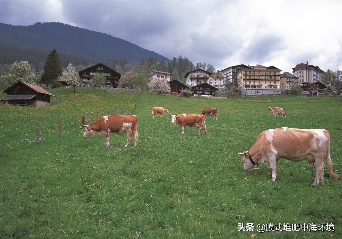 2022年农村创业致富的好项目,2024国家扶持农村的免费创业项目